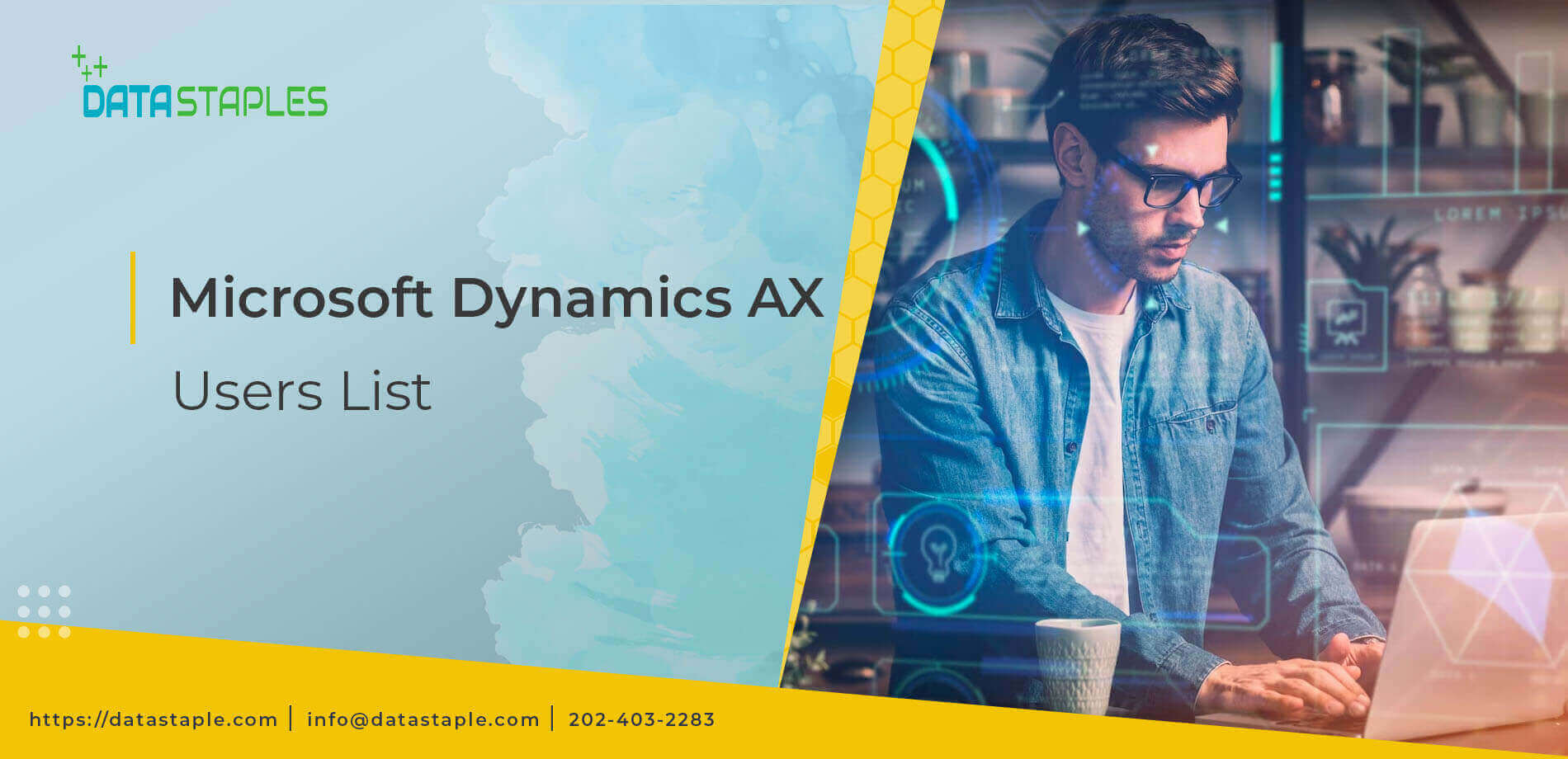 Microsoft Dynamics AX Users List | DataStaples