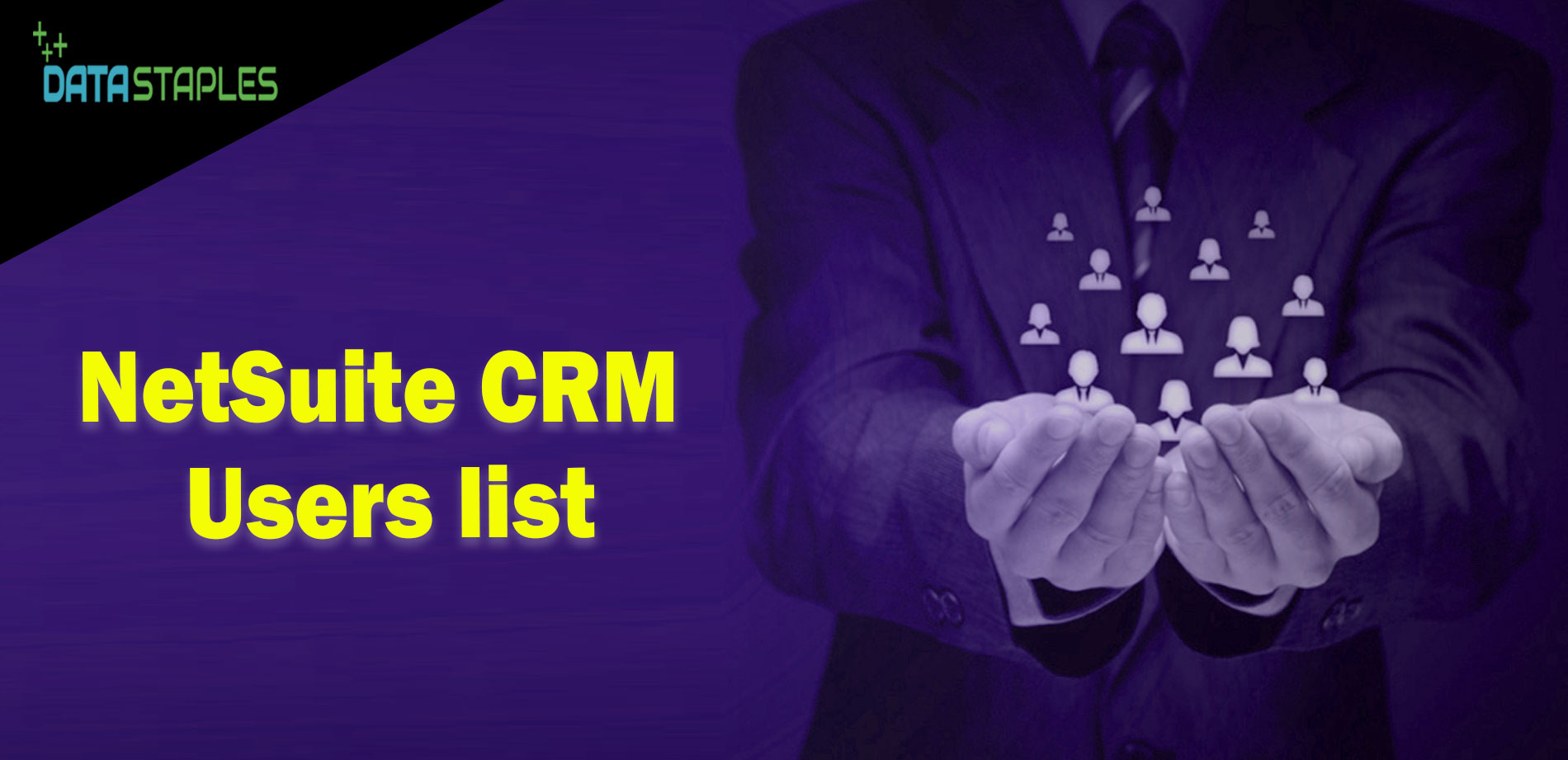 NetSuite CRM Users Mailing List | DataStaples