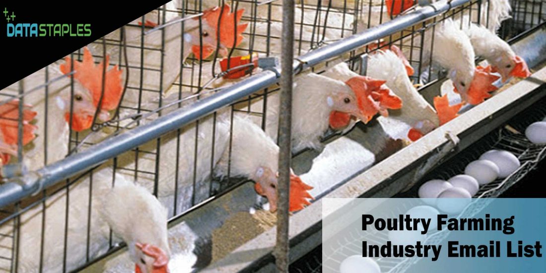 Poultry Farming Industry Email List | DataStaples