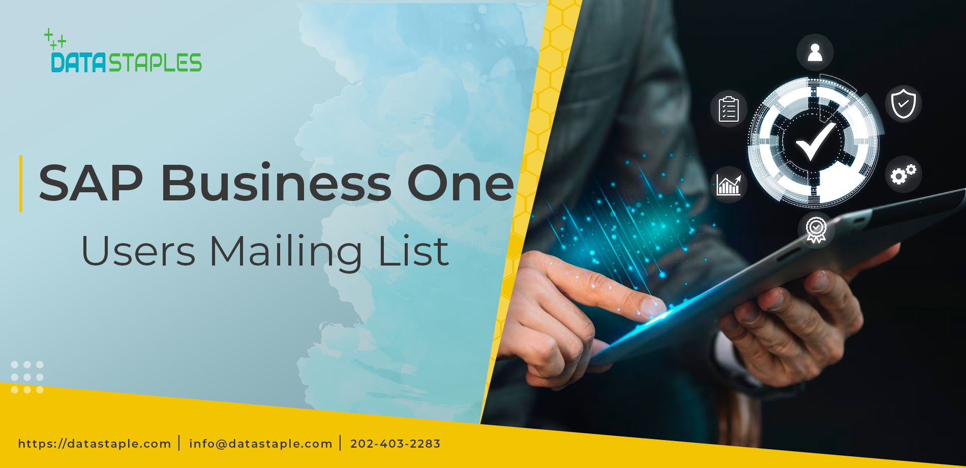 SAP Business One Users Mailing List | DataStaples