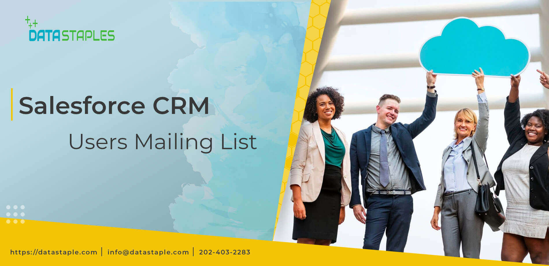 Salesforce CRM Users Mailing List | DataStaples