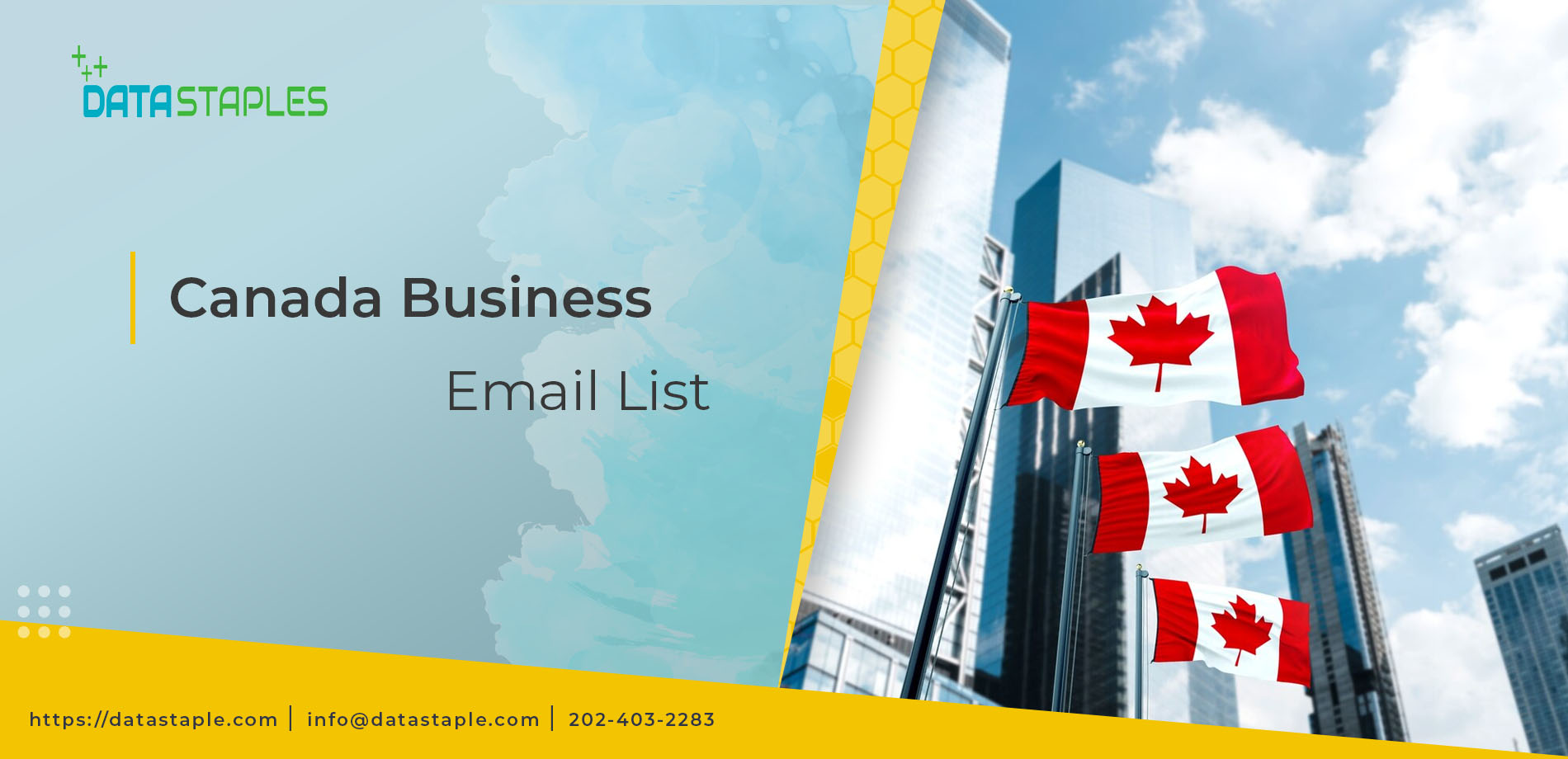 Canada Business Email List | DataStaples
