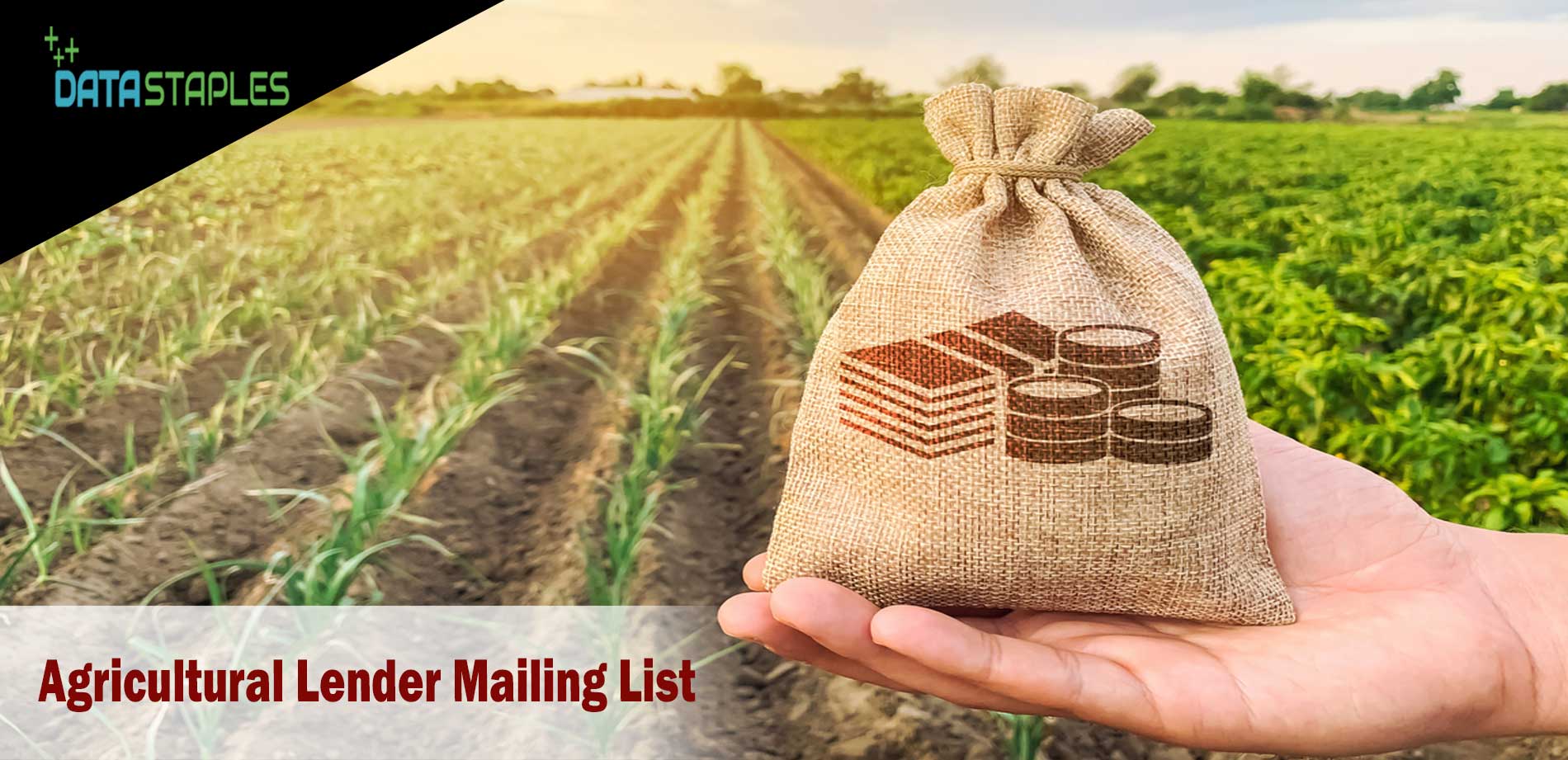 Agriculture Lender Mailing List | DataStaples