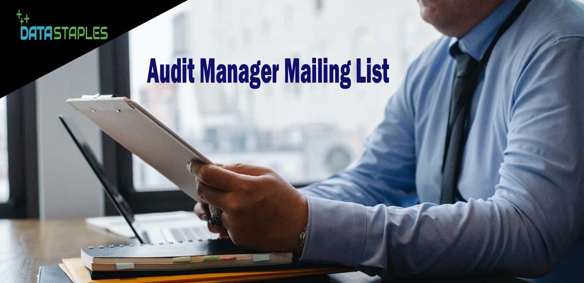 Audit Manager Mailing List | DataStaples