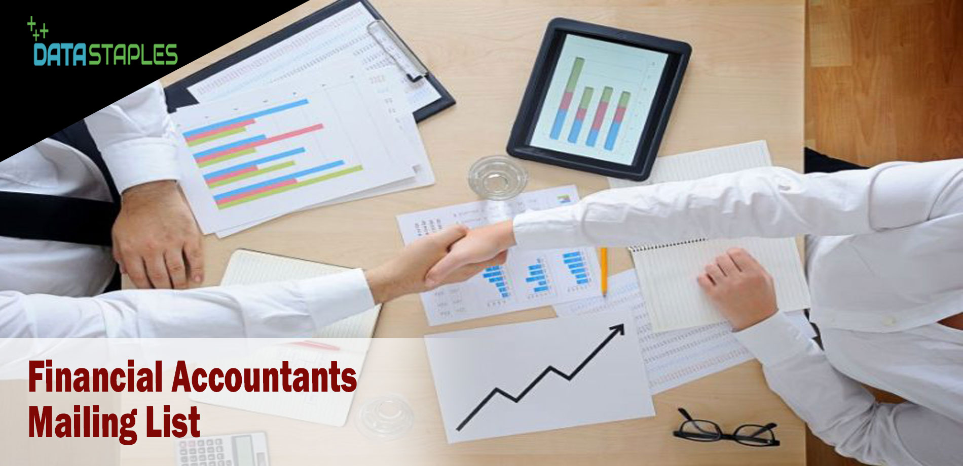 Financial Accountants Mailing List | DataStaples