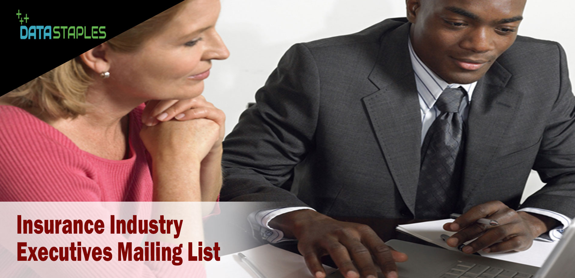 Insurance Industry Executives Mailing List | DataStaples