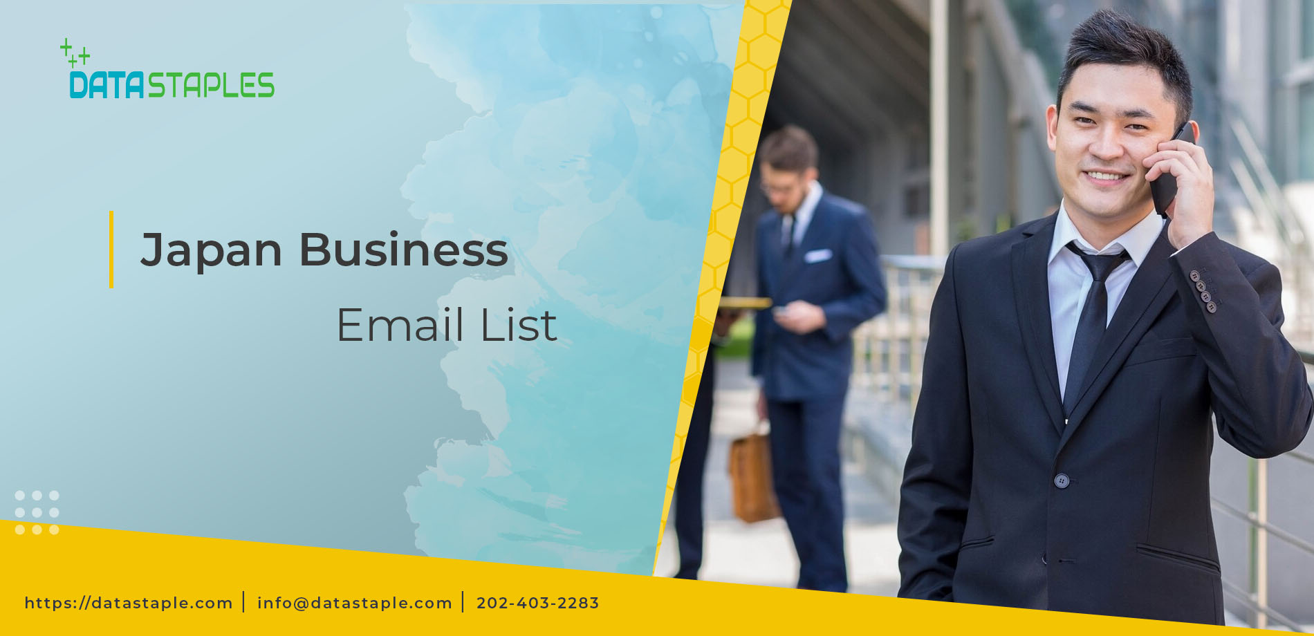 Japan Business Email List | DataStaples