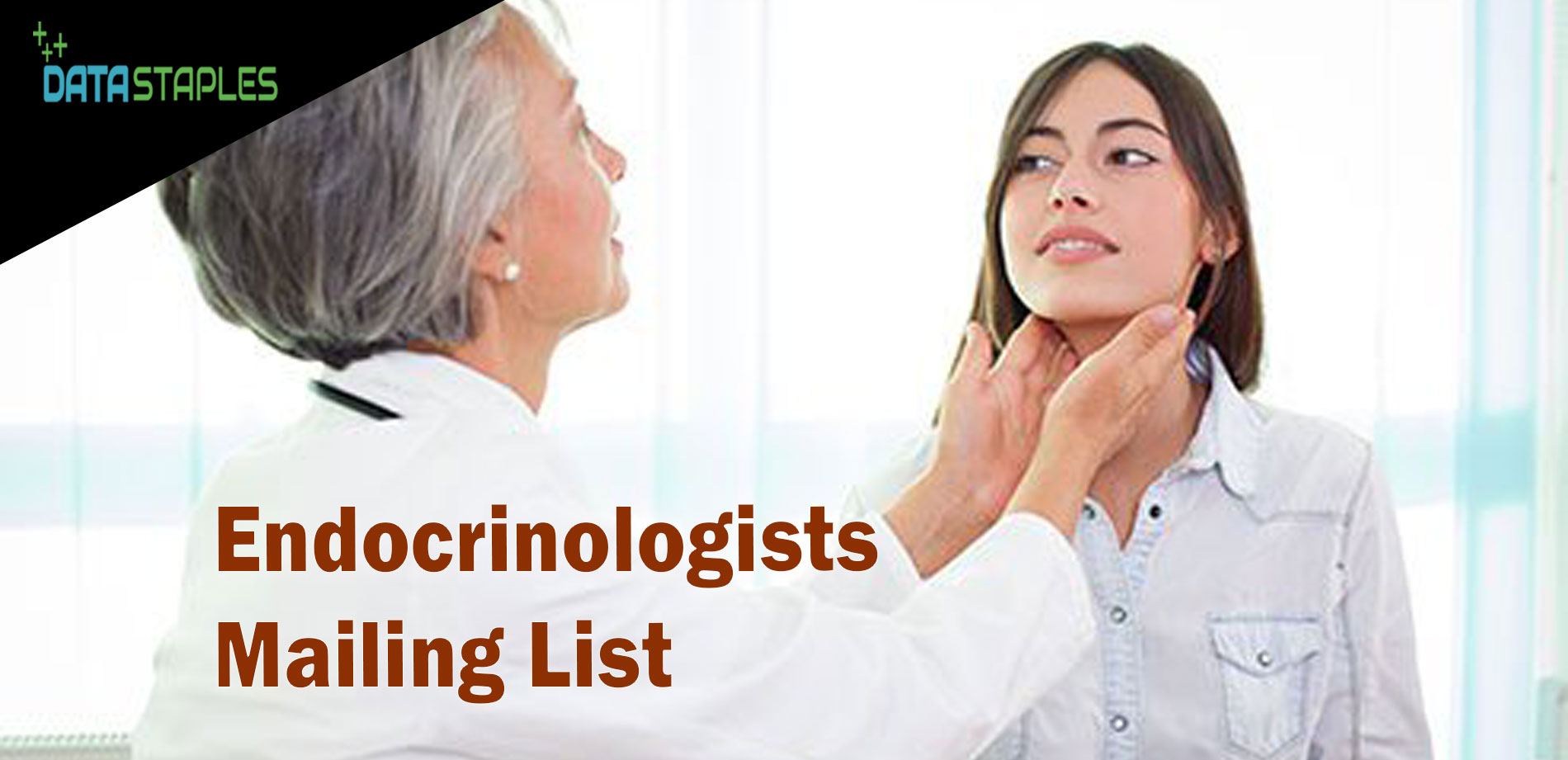 Endocrinologists Mailing List | DataStaplesMailing List | DataStaplesMailing List | DataStaples