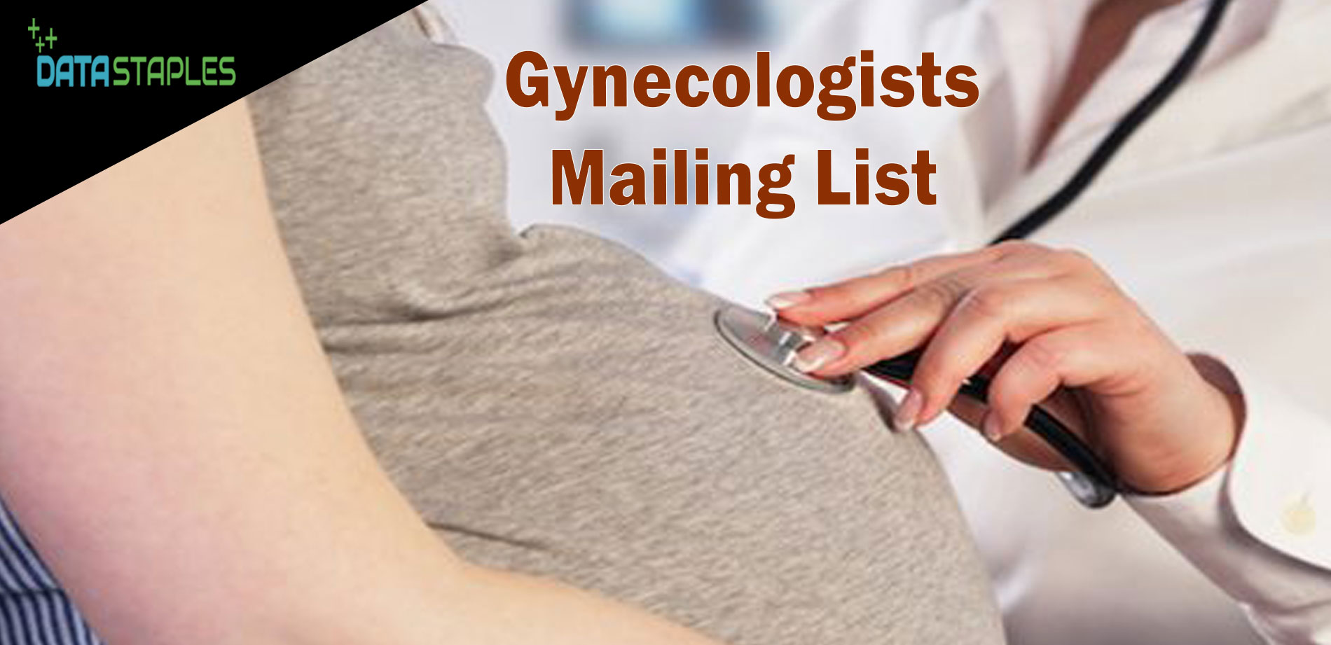 Gynecologists Mailing List | DataStaplesMailing List | DataStaplesMailing List | DataStaples