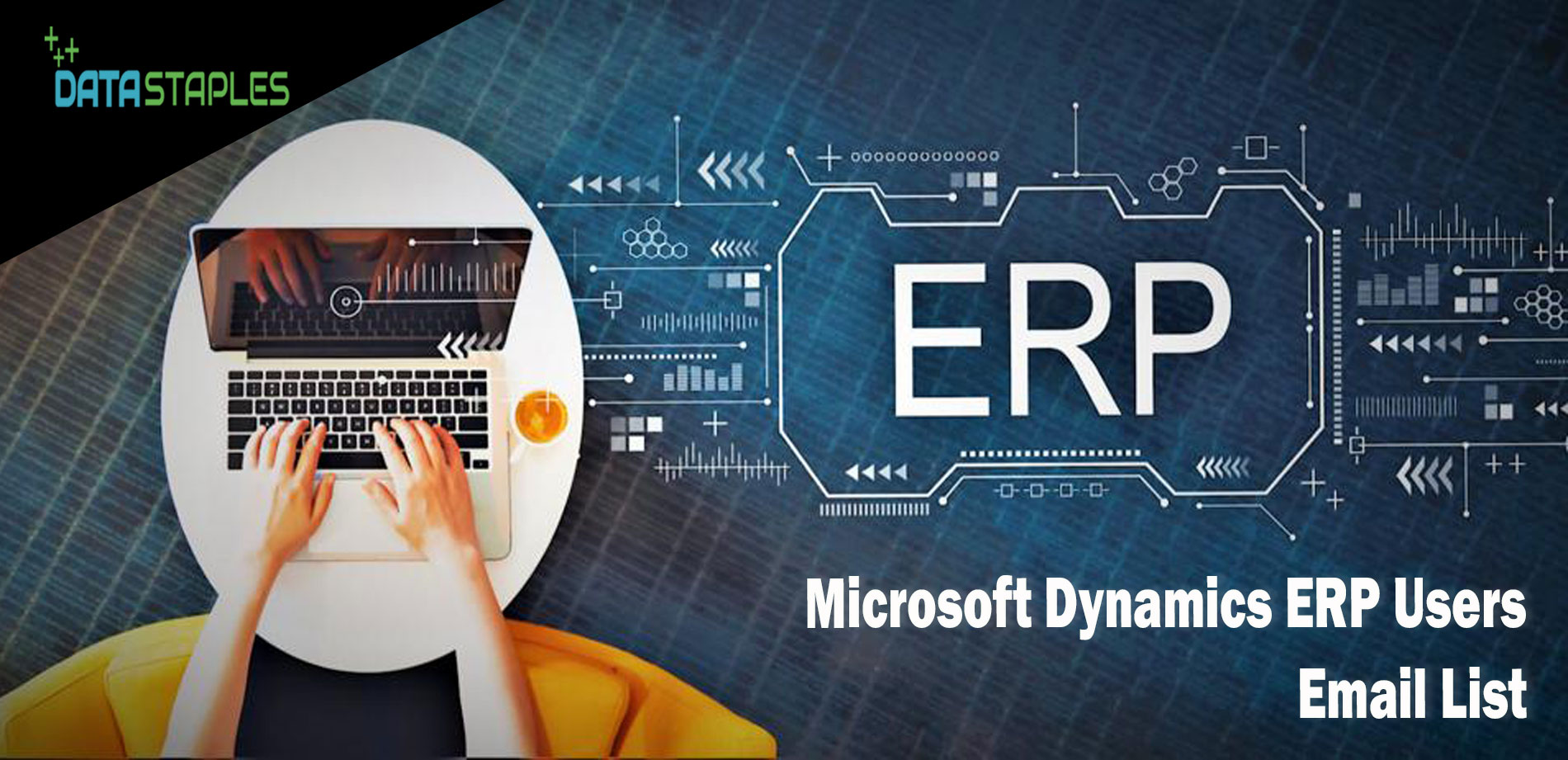 Microsoft Dynamics ERP Users Email List | DataStaples