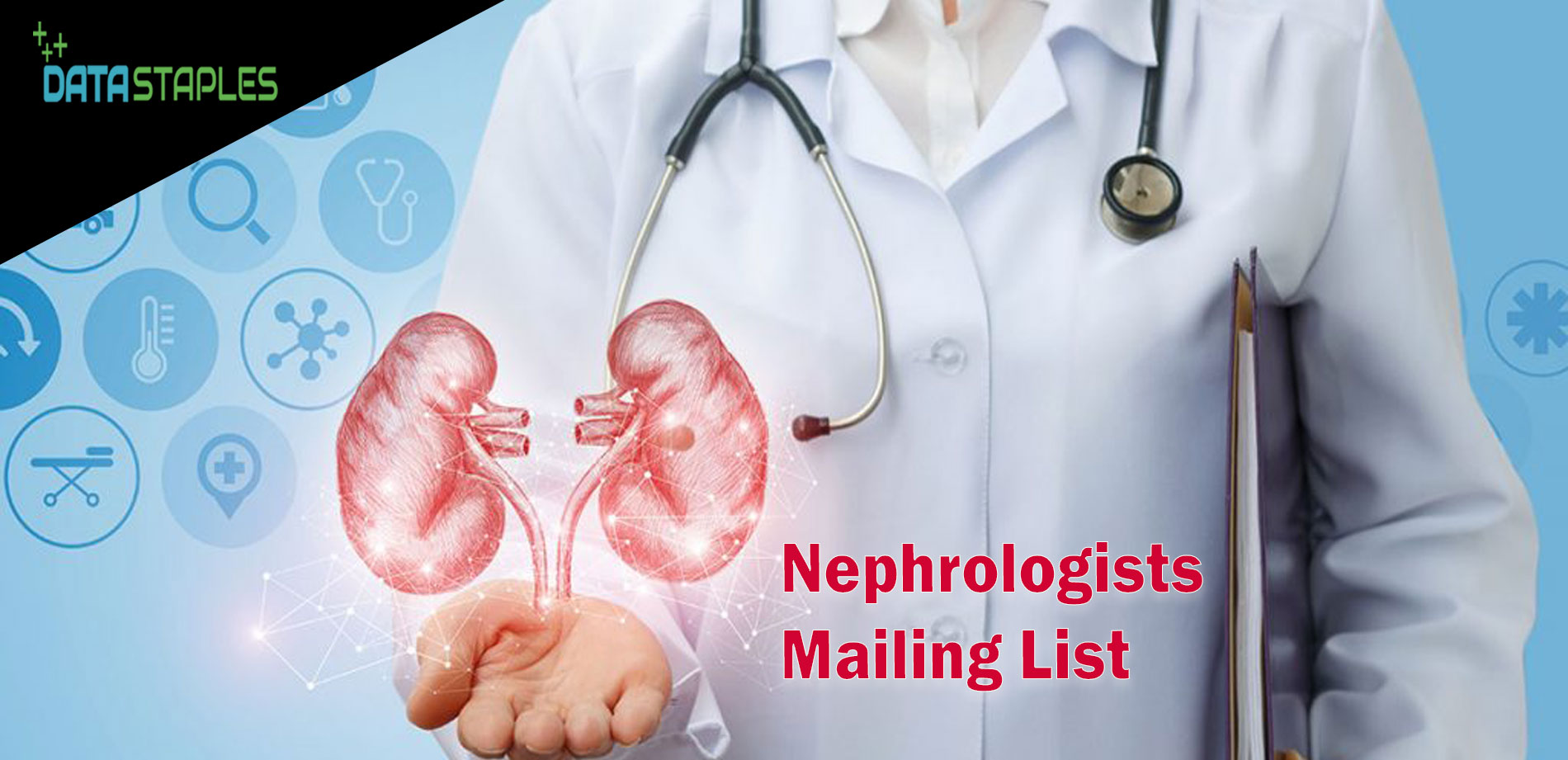 Nephrologists Mailing List | DataStaples