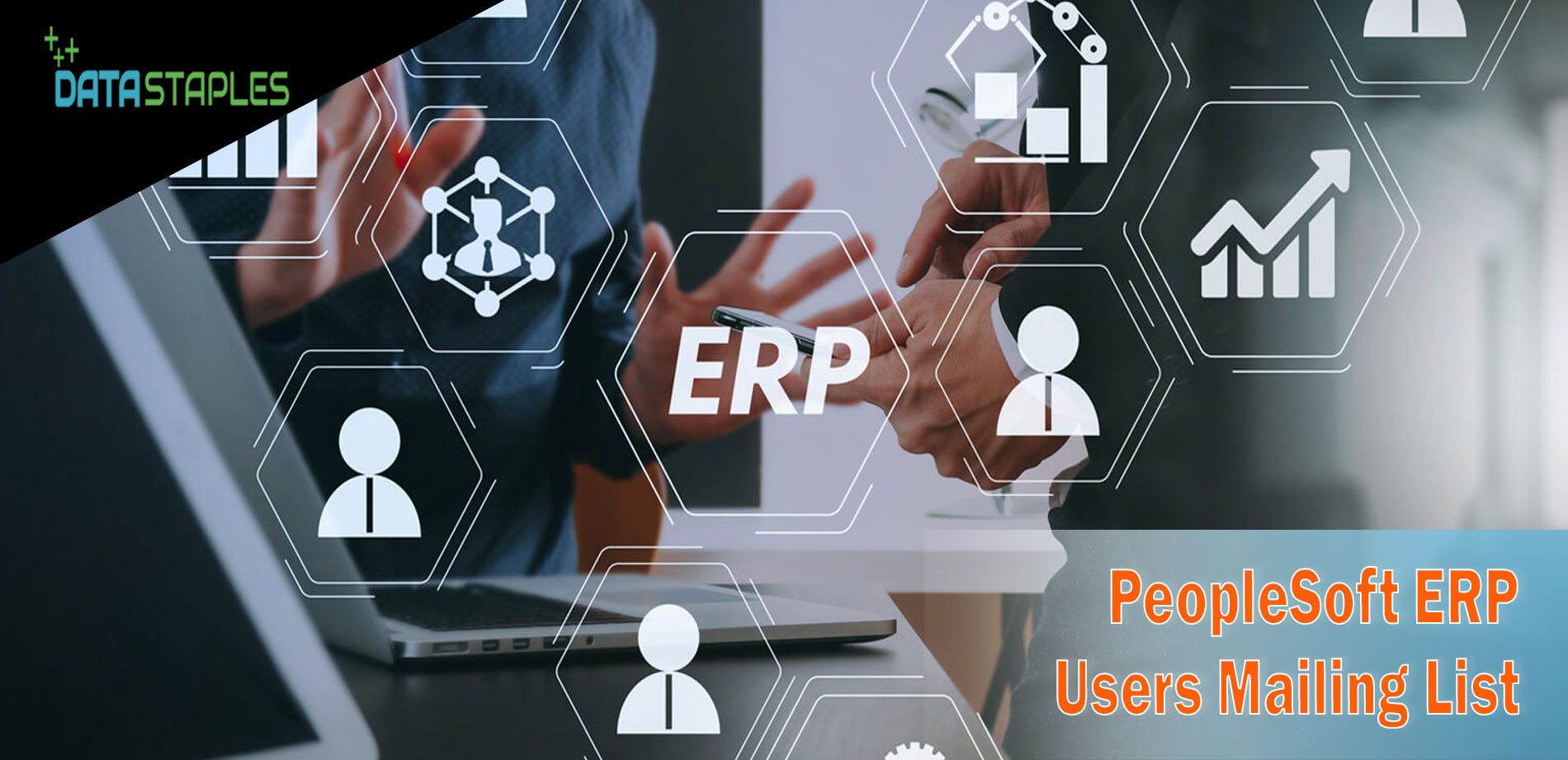 PeopleSoft ERP Users Mailing List | DataStaples