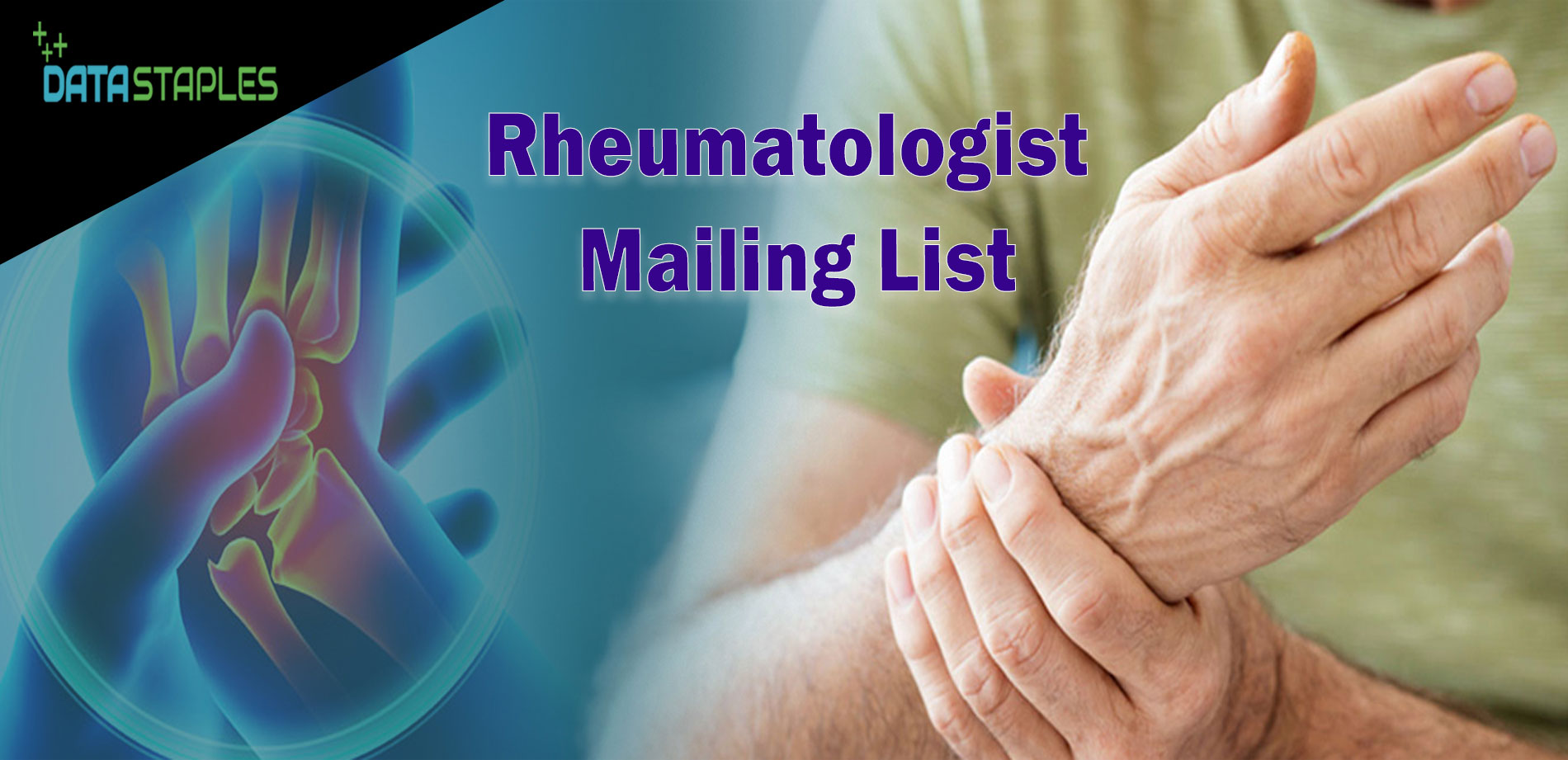 Rheumatologists Mailing List | DataStaples