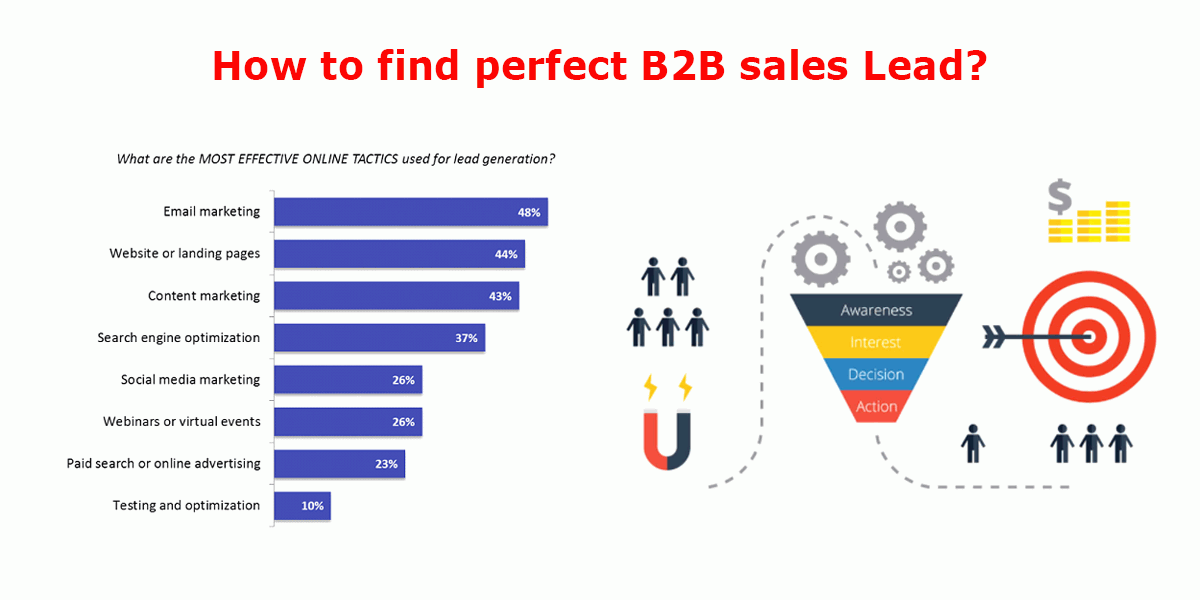 How To Find Perfect B2B Sales Lead | DataStaples