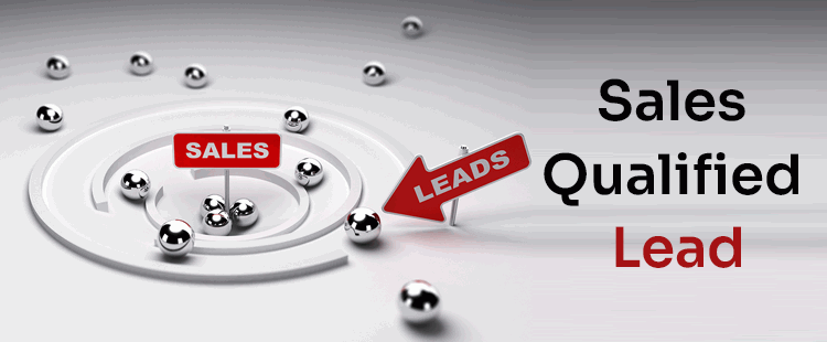 Sales Qualified Leads | DataStaples