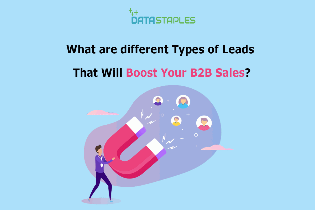 What Are The Different Types Of Leads That Will Boost Your Sales | DataStaples