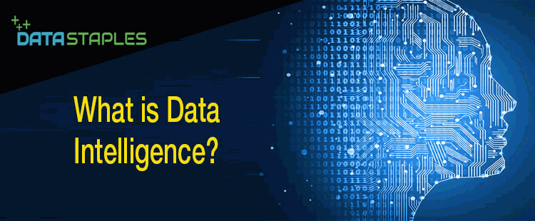 What Is Data Intelligence | DataStaples
