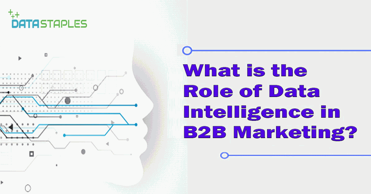 What Is The Role Of Data Intelligence In B2B Marketing | DataStaples