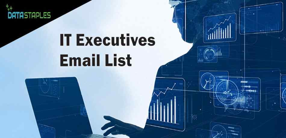 IT Executives Email List | DataStaples