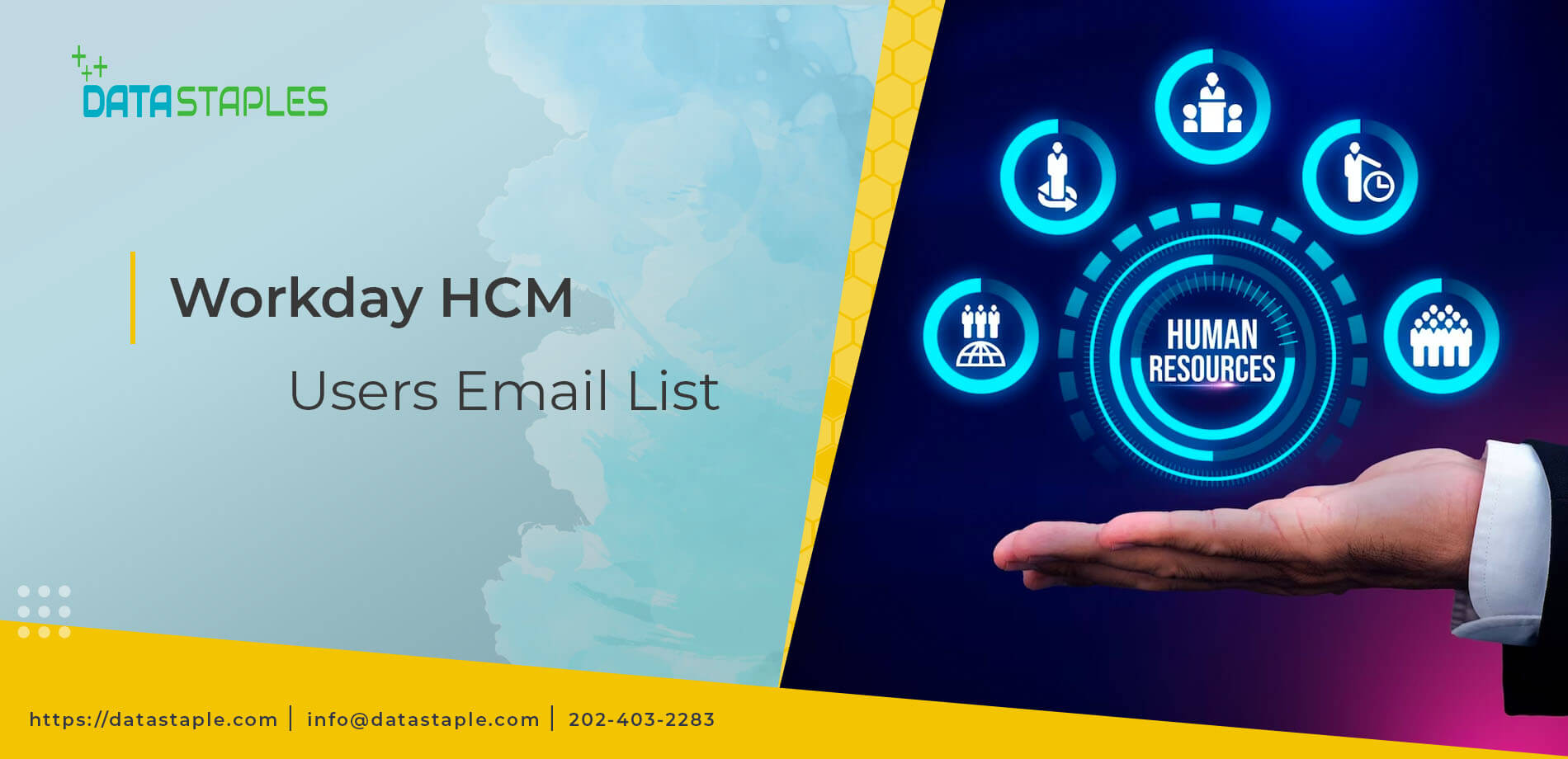 Workday HCM Users Mailing List | DataStaples
