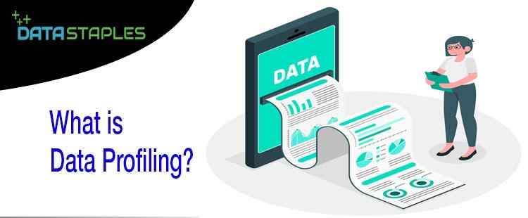 What Is Data Profiling | DataStaples