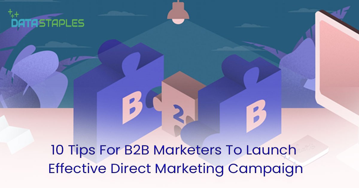 10 Tips For B2B Marketers To Launch Effective Direct Marketing Campaign | DataStaples