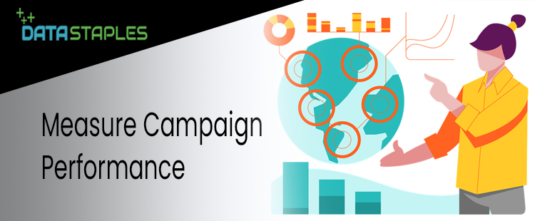 Measure Campaign Performance | DataStaples