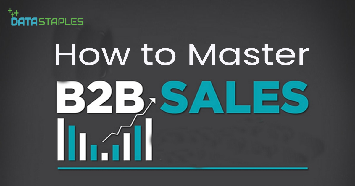 How To Master B2B Sales | DataStaples