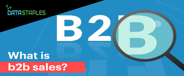 What Is B2B Sales | DataStaples