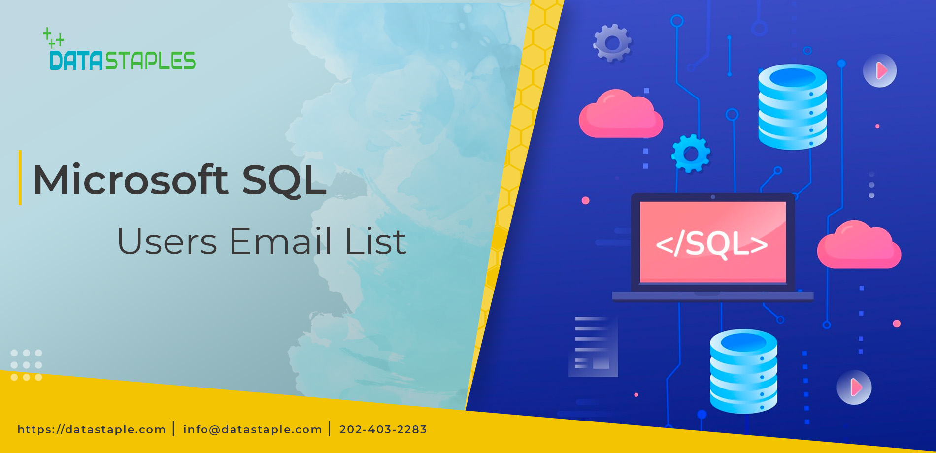 Microsoft SQL Users Email List | DataStaples
