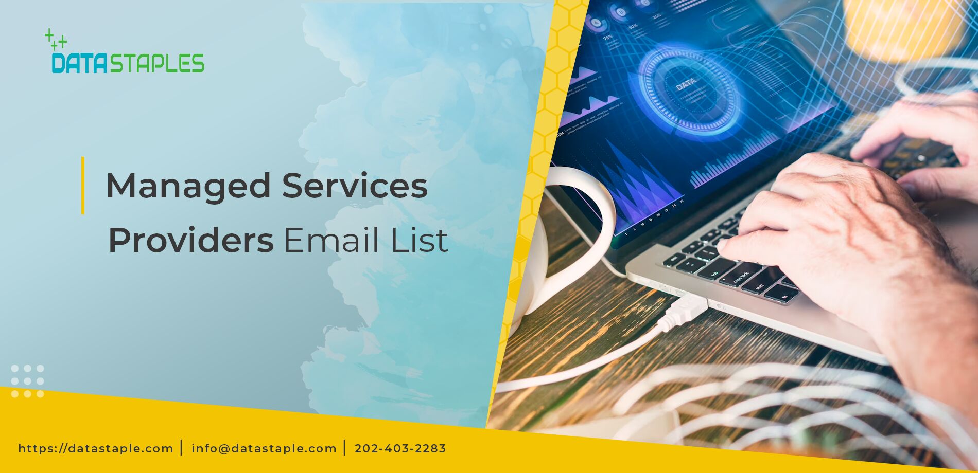 Managed Service Providers Email List | DataStaples