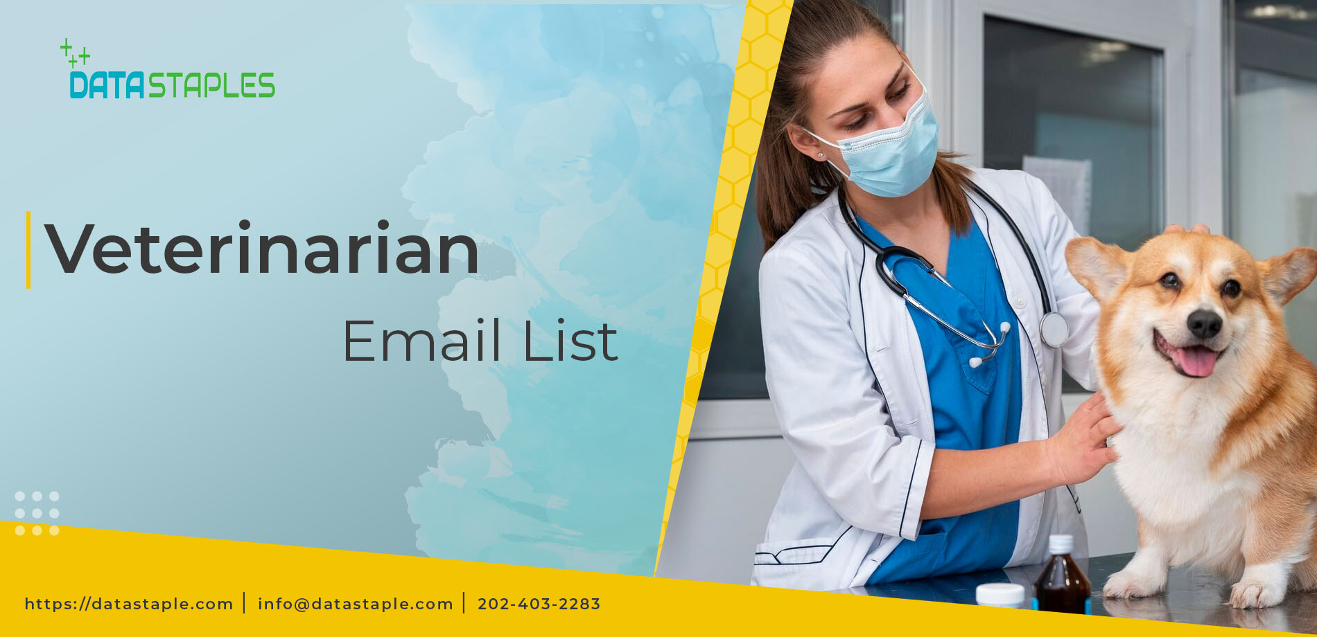 Veterinarian Email List | DataStaples