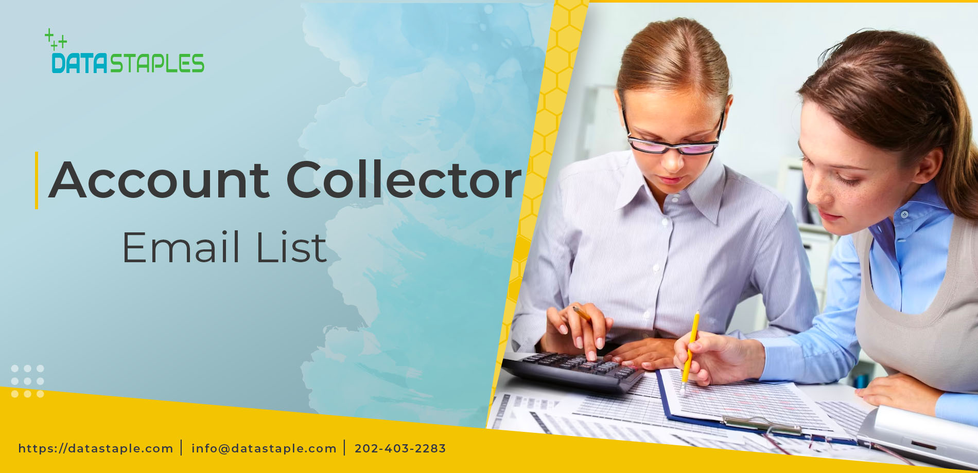 Account Collector Email List | DataStaples
