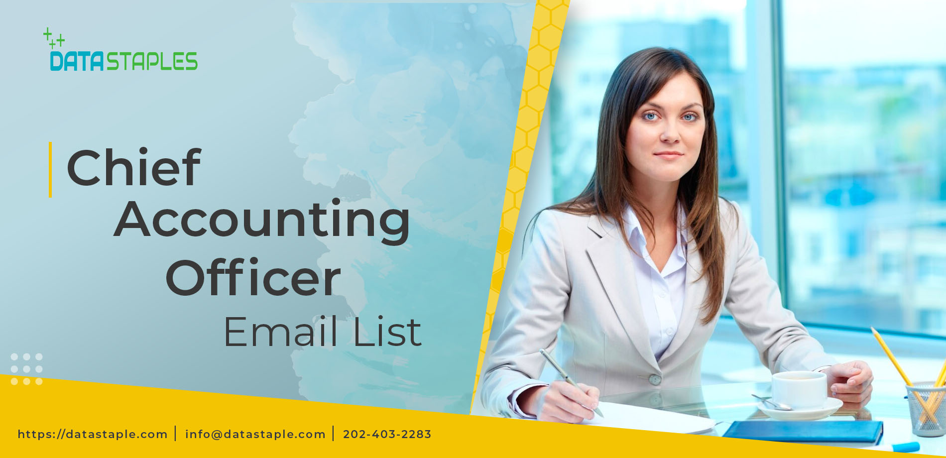 Chief Accounting Officer Email List | DataStaples