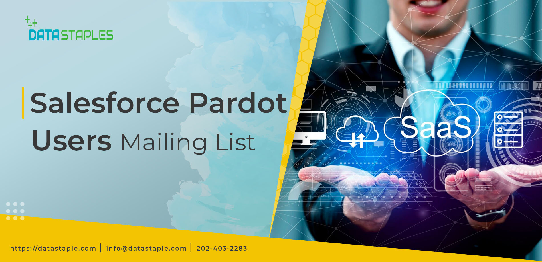 Salesforce Pardot Users Mailing List | DataStaples